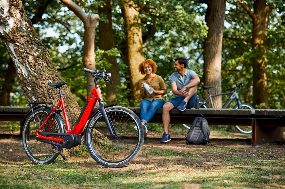 Diverse merken en maten E.bike's op voorraad